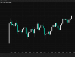ASTR Coin: The Newcomer Shaking Up the DeFi Market