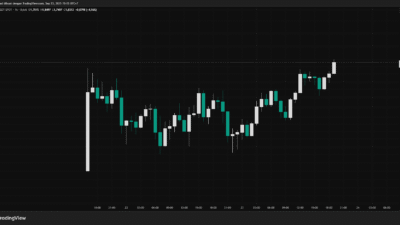 ASTR Coin: The Newcomer Shaking Up the DeFi Market